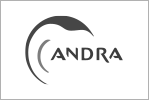 Andra
